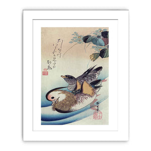 Mandarin duck woodcut