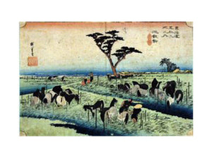 View of Fuji san from the Mountains in the Province of Izu (Izu no Sanchu), from the series Thirty-six Views of Mount Fuji (Fugaku sanjūrokkei)