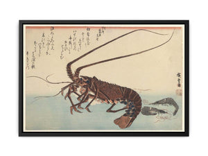 Crayfish and Two Shrimps