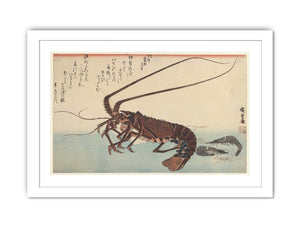 Crayfish and Two Shrimps