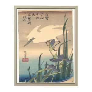 White Heron and Iris
