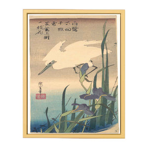 White Heron and Iris