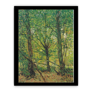 tree And Undergrowth By Vincent Van Gogh