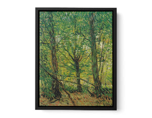 tree And Undergrowth By Vincent Van Gogh