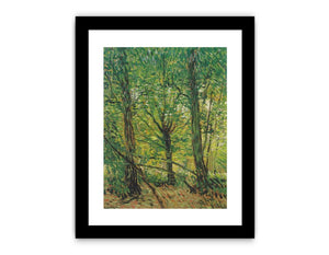 tree And Undergrowth By Vincent Van Gogh Canvas Print