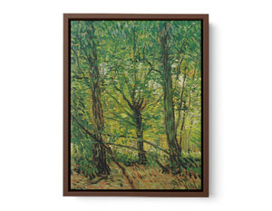 tree And Undergrowth By Vincent Van Gogh Famous Painting