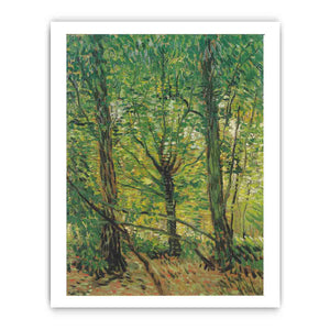 tree And Undergrowth By Vincent Van Gogh