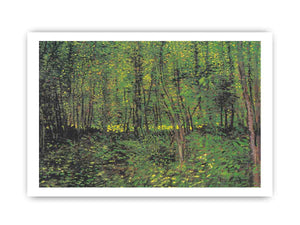tree And Undergrowth By Van Gogh