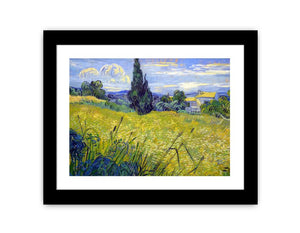 Green Field By Van Gogh Canvas Print