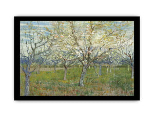 Pink & The White Orchard By Vincent Van Gogh
