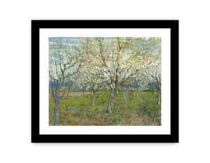 Pink & The White Orchard By Vincent Van Gogh Canvas Print