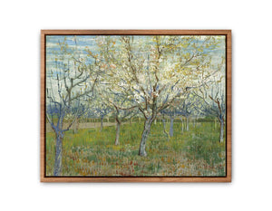 Pink & The White Orchard By Vincent Van Gogh Streched canvas