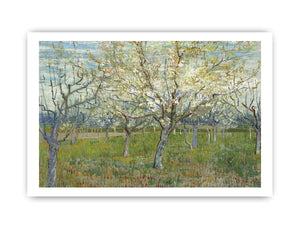 Pink & The White Orchard By Vincent Van Gogh