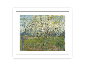 Pink & The White Orchard By Vincent Van Gogh Famous painting