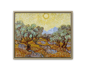 Olive Trees / Olive Trees with yellow sky and sun By Vincent Van Gogh Oil Painting