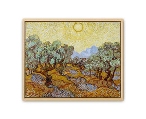 Olive Trees / Olive Trees with yellow sky and sun By Vincent Van Gogh Artwork