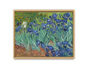 Irises By Van Gogh Painting Artwork