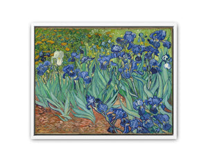 Irises By Van Gogh Painting Art Print