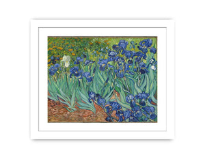 Irises By Van Gogh Painting Famous painting