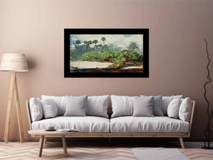 Florida Jungle