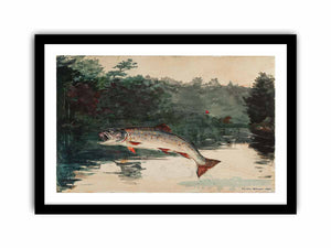 Leaping Trout