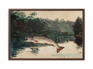 Leaping Trout