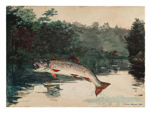 Leaping Trout