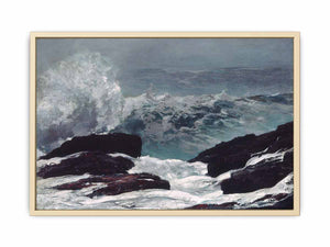 Maine Coast