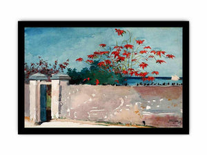 A Wall, Nassau