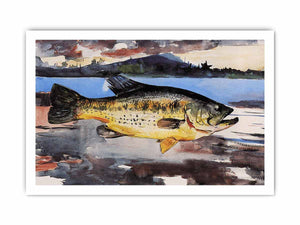 Bass
