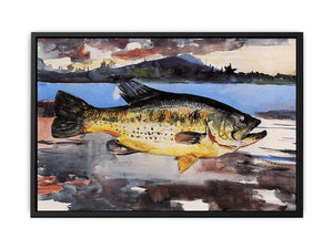 Bass