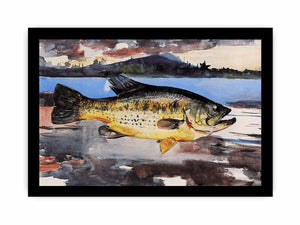 Bass