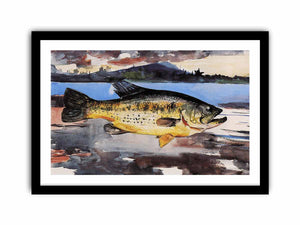 Bass