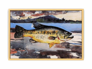 Bass