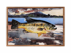 Bass