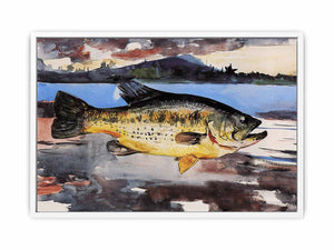Bass