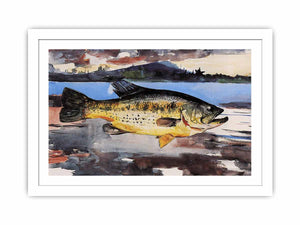 Bass