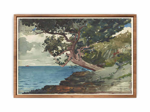Bermuda