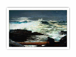 Driftwood