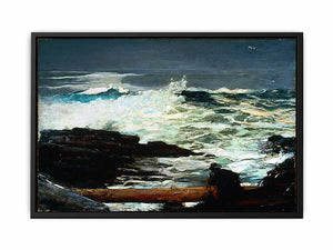 Driftwood