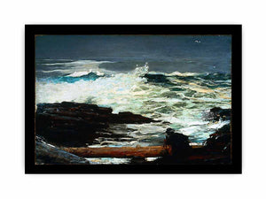 Driftwood