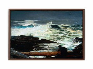 Driftwood