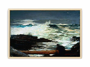 Driftwood
