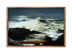 Driftwood