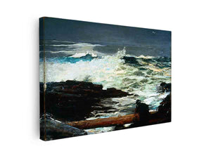 Driftwood