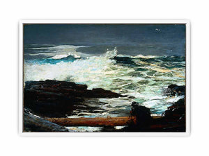 Driftwood