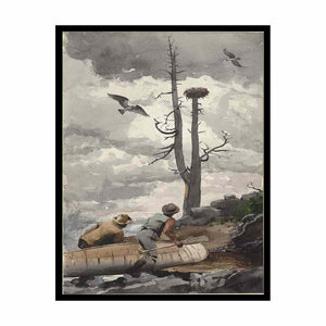 The Eagle's Nest / Osprey's Nest