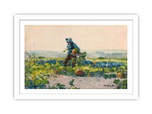 For to Be a Farmer's Boy
