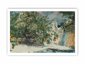 Orange trees and gate