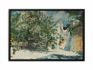 Orange trees and gate